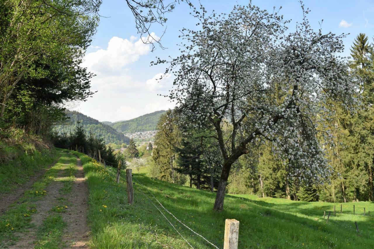 Ferienwohnung Im Dettenbachtal 발드키르히 외부 사진