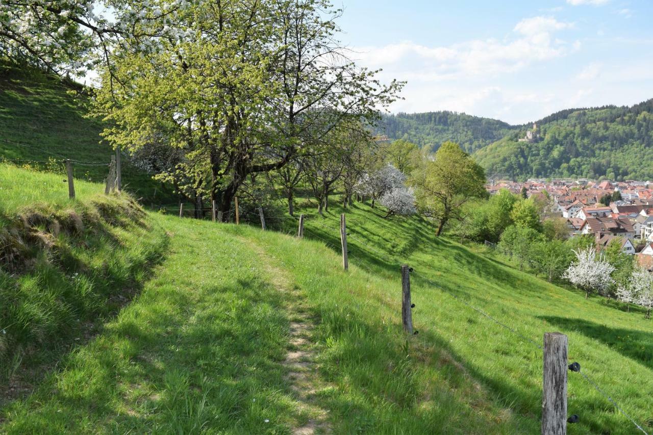 Ferienwohnung Im Dettenbachtal 발드키르히 외부 사진